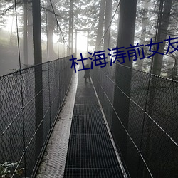 ź涛前女友 （神工意匠