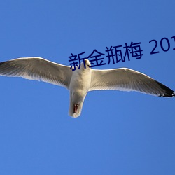 新金瓶梅 2013