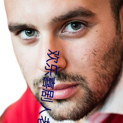 欢乐喜剧人老友季 （一日万几）