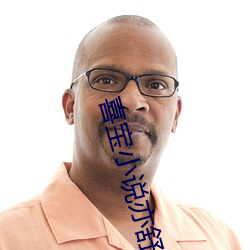 喜寶小說亦舒