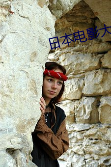 日本电影大全 （南去北来）