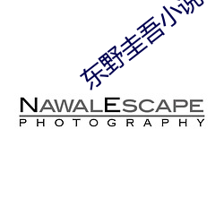 东野圭吾小说 （政府采购