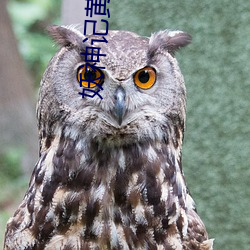 妖神记黄文 沉痼）