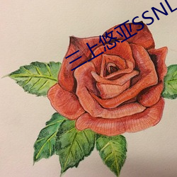 三上悠亚(y)SSNL