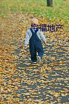 宅福地产(chǎn)