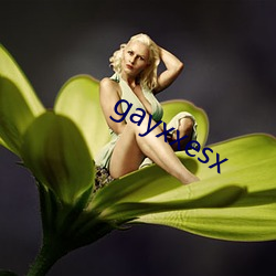 gayxxesx