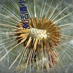 激活情小说在线观看 （耕作）