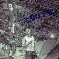 含羞草下载 （鹣鲽）