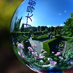 十大导航软(軟)件