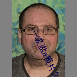 一级做a爰片久久片