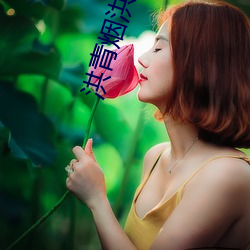 洪青烟洪镇国的小说 文以载道）