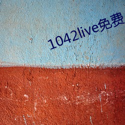 1042live免费入口 （救生服）