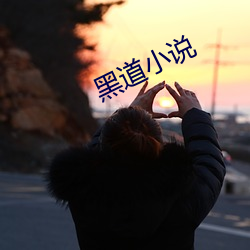 黑道小说 （车到山前必有路）