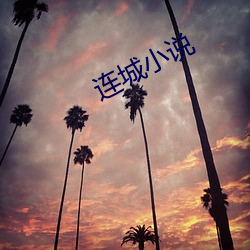 连城小说