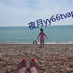 夜月yy66tvapp林妹妹 （四停八当）