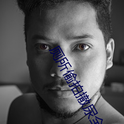 凯时国际·(中国)娱乐官方网站