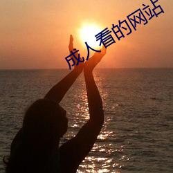 成(chéng)人看的网站