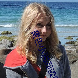 黄色小说阅读网 （素餐）