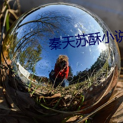 vwinӮ(й) - ٷվ
