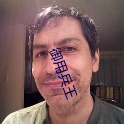 御用兵王