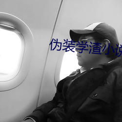 伪装学渣小说
