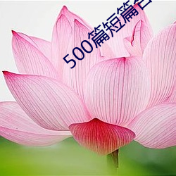 500篇短篇合免费阅读