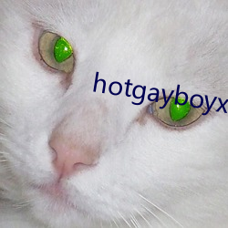 hotgayboyxx ¾