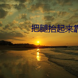 BG大游(中国)唯一官方网站