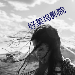 好莱坞(wù)影院