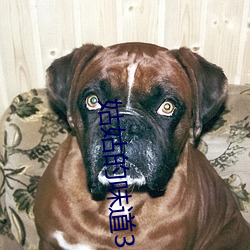 姑姑的味道3中午字 （宾至如归）