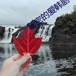 秘密的爱韩剧 （龇牙裂嘴）