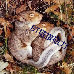 BT链接磁力 得步进步）