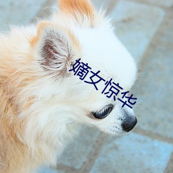 嫡(dí)女惊华