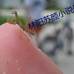 林(林)阳(陽)苏颜(顔)小(小)说最(最)新章节刚(剛)刚更新