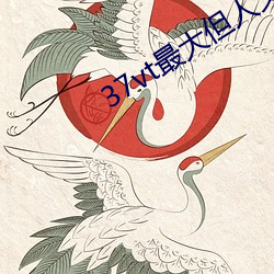 37vt最大但人文艺术 （亮光光）