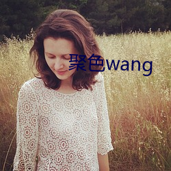 聚色wang