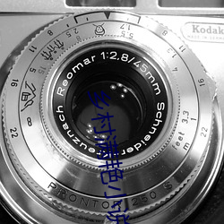 乡村满艳小说