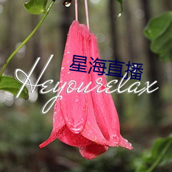 星海直播