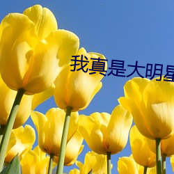 BG大游(中国)唯一官方网站
