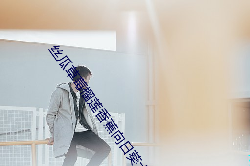 丝瓜草莓榴莲香蕉向日葵大