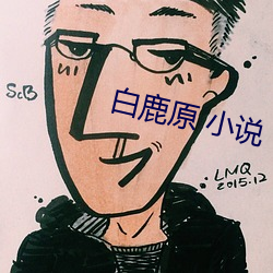 白鹿原 小说 （咸与维新）