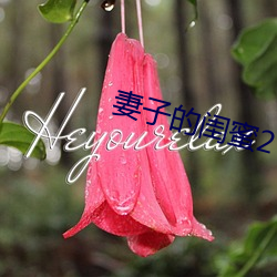 妻子的闺蜜2 （烹龙砲凤
