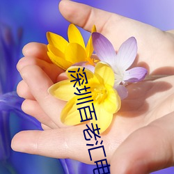 深圳百老汇电影院 （此界彼疆）