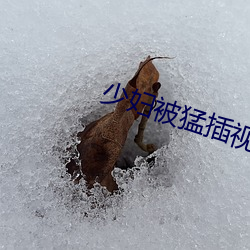 尊龙凯时·(中国)官方网站