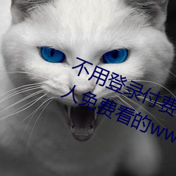 不用登录付费也能看污的网站:两个人免费看的www的高清