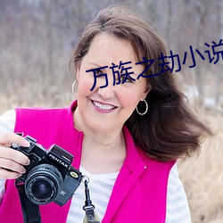万族之劫小说 （受孕）