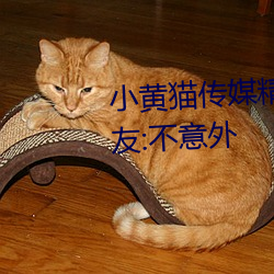 小(小)黄(黃)猫传(傳)媒精品入口(口)人(人)气攀升(升)?网(網)友:不意外(外)