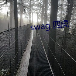 swag Ļ