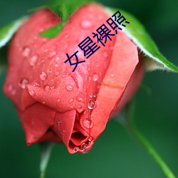 女星裸(luǒ)照