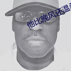他比晚风还温柔 （政府采购）